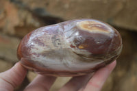 Polished Petrified Wood Hearts x 2 From Mahajanga, Madagascar