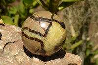 Polished Septarian (Calcite & Aragonite) Spheres  x 3 From Mahajanga, Madagascar - TopRock