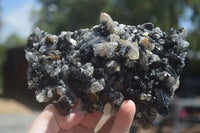 Natural Schorl Black Tourmaline Specimens With Hyalite Opal x 2 From Erongo Mountains, Namibia - TopRock