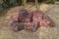 Natural Rough Red Rhodonite Specimens x 6 From Zimbabwe