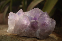 Natural Jacaranda Amethyst Clusters x 2 From Mumbwe, Zambia