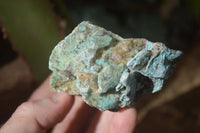 Natural Drusy Coated Chrysocolla Dolomite Specimens x 6 From Likasi, Congo