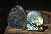 Polished Flashy Labradorite Standing Free Forms  x 2 From Tulear, Madagascar - Toprock Gemstones and Minerals 