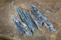 Natural Single Blue Kyanite Crystals  x 1.9 Kg Lot From Karoi, Zimbabwe