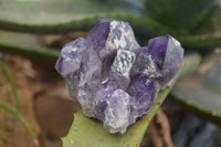 Natural Dark Purple Amethyst Clusters  x 3 From Mapatizya, Zambia - TopRock