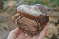 Polished Petrified Wood Hearts x 2 From Mahajanga, Madagascar