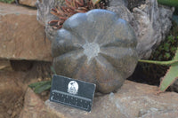 Polished Green Serpentine Pumpkin Carving  x 1 From Zimbabwe - Toprock Gemstones and Minerals 