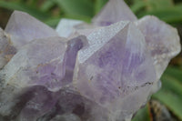 Natural Jacaranda Amethyst Cluster x 1 From Mumbwa, Zambia - TopRock