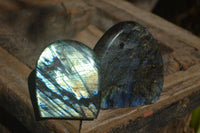 Polished Flashy Labradorite Standing Free Forms  x 2 From Tulear, Madagascar - Toprock Gemstones and Minerals 