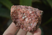 Natural Rough Red Rhodonite Specimens x 6 From Zimbabwe