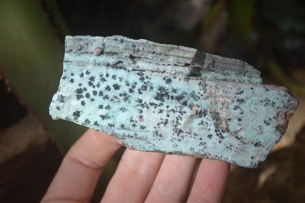 Natural Drusy Coated Chrysocolla Dolomite Specimens x 6 From Likasi, Congo