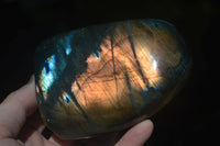 Polished Flashy Blue & Gold Labradorite Standing Free Forms x 2 From Madagascar - Toprock Gemstones and Minerals 