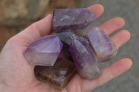 Polished Stunning Selection Of Small Window Amethyst Crystals  x 35 From Akansobe, Madagascar - TopRock