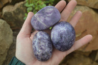 Polished Purple Lepidolite Palm Stones  x 12 From Zimbabwe