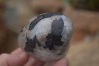 Polished Tourmalinated Quartz Standing Free Forms  x 4 From Namibia - TopRock