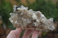 Natural Schorl Black Tourmaline & Smokey Quartz Specimens x 2 From Erongo Mountains, Namibia - TopRock