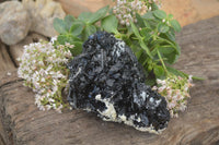 Natural Schorl Black Tourmaline Specimen x 1 From Erongo, Namibia