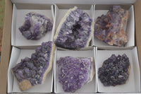 Natural Deep Jacaranda Amethyst Crystal Clusters  x 6 From Zambia - TopRock