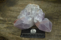 Natural Jacaranda Amethyst Clusters  x 2 From Zambia - Toprock Gemstones and Minerals 