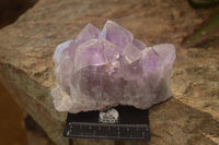 Natural Jacaranda Amethyst Clusters x 2 From Mumbwe, Zambia