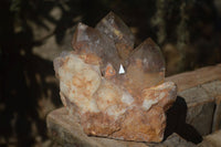 Natural Red Hematoid Phantom Quartz Cluster x 1 From Karoi, Zimbabwe