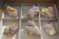 Natural Spirit Amethyst Quartz Clusters x 6 From Boekenhouthoek, South Africa