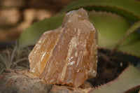 Natural Honey Aragonite Etched & Cobbed Pieces  x 6 From Namibia