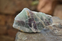 Polished Watermelon Fluorite Slices  x 12 From Namibia