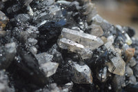 Natural Schorl Black Tourmaline Specimens With Hyalite Opal x 2 From Erongo Mountains, Namibia - TopRock