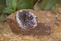 Natural Amethyst & Crystal Centred Geodes  x 12 From Zululand, South Africa - TopRock