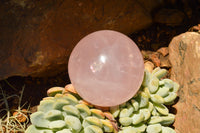 Polished Gemmy Pink Rose Quartz Spheres With Asterisms  x 6 From Madagascar - TopRock