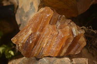 Natural Honey Aragonite Etched & Cobbed Pieces  x 6 From Namibia