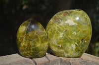 Polished Green Opal Standing Free Forms  x 2 From Antsirabe, Madagascar - Toprock Gemstones and Minerals 