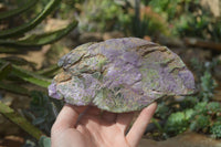 Natural Rough Stichtite & Serpentine Specimens x 4 From Barberton, South Africa