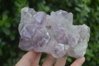 Natural Jacaranda Amethyst Clusters  x 2 From Zambia - Toprock Gemstones and Minerals 