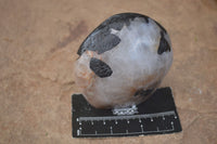 Polished Tourmalinated Quartz Standing Free Forms  x 4 From Namibia - TopRock