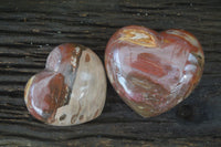 Polished Petrified Wood Hearts x 2 From Mahajanga, Madagascar