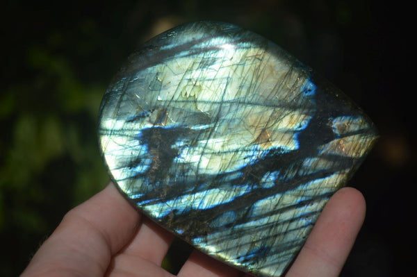 Polished Flashy Labradorite Standing Free Forms  x 2 From Tulear, Madagascar - Toprock Gemstones and Minerals 