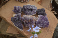 Natural Deep Jacaranda Amethyst Crystal Clusters  x 6 From Zambia - TopRock