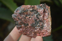 Natural Rough Red Rhodonite Specimens x 6 From Zimbabwe