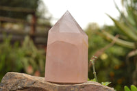 Polished Gemmy Pink Rose Quartz Crystals  x 3 From Ambatondrazaka, Madagascar - TopRock
