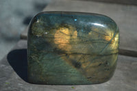 Polished Flashy Blue & Gold Labradorite Standing Free Forms x 2 From Madagascar - Toprock Gemstones and Minerals 