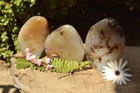 Polished Trio Of Dendritic Agate Standing Free Forms  x 3 From Moralambo, Madagascar - TopRock