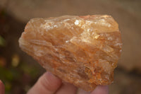 Natural Honey Aragonite Etched & Cobbed Pieces  x 6 From Namibia