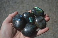 Polished Flashy Labradorite Palm Stones  x 12 From Tulear, Madagascar - Toprock Gemstones and Minerals 