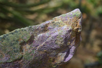 Natural Rough Stichtite & Serpentine Specimens x 4 From Barberton, South Africa