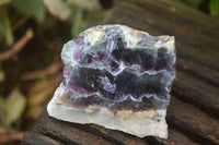 Polished Watermelon Fluorite Slices  x 12 From Namibia