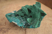 Natural Unique Dioptase & Bladed Malachite Specimen  x 1 From Likasi, Congo