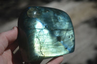 Polished Flashy Blue & Gold Labradorite Standing Free Forms x 2 From Madagascar - Toprock Gemstones and Minerals 