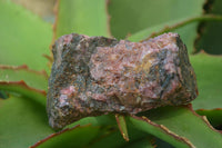 Natural Rough Red Rhodonite Specimens x 6 From Zimbabwe